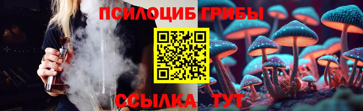Псилоцибиновые грибы MAGIC MUSHROOMS  Галлюциногенные грибы Cubensis  Вход с VPN  Камень-на-Оби 